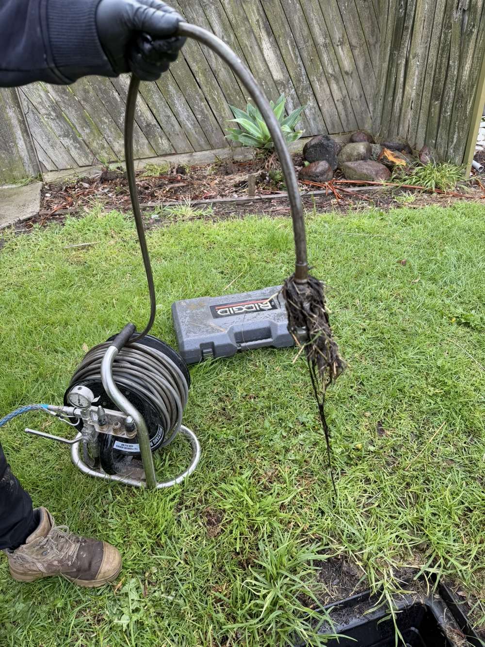 Tree root mass removed from a blocked stormwater drain during hydro jetting in Clyde
