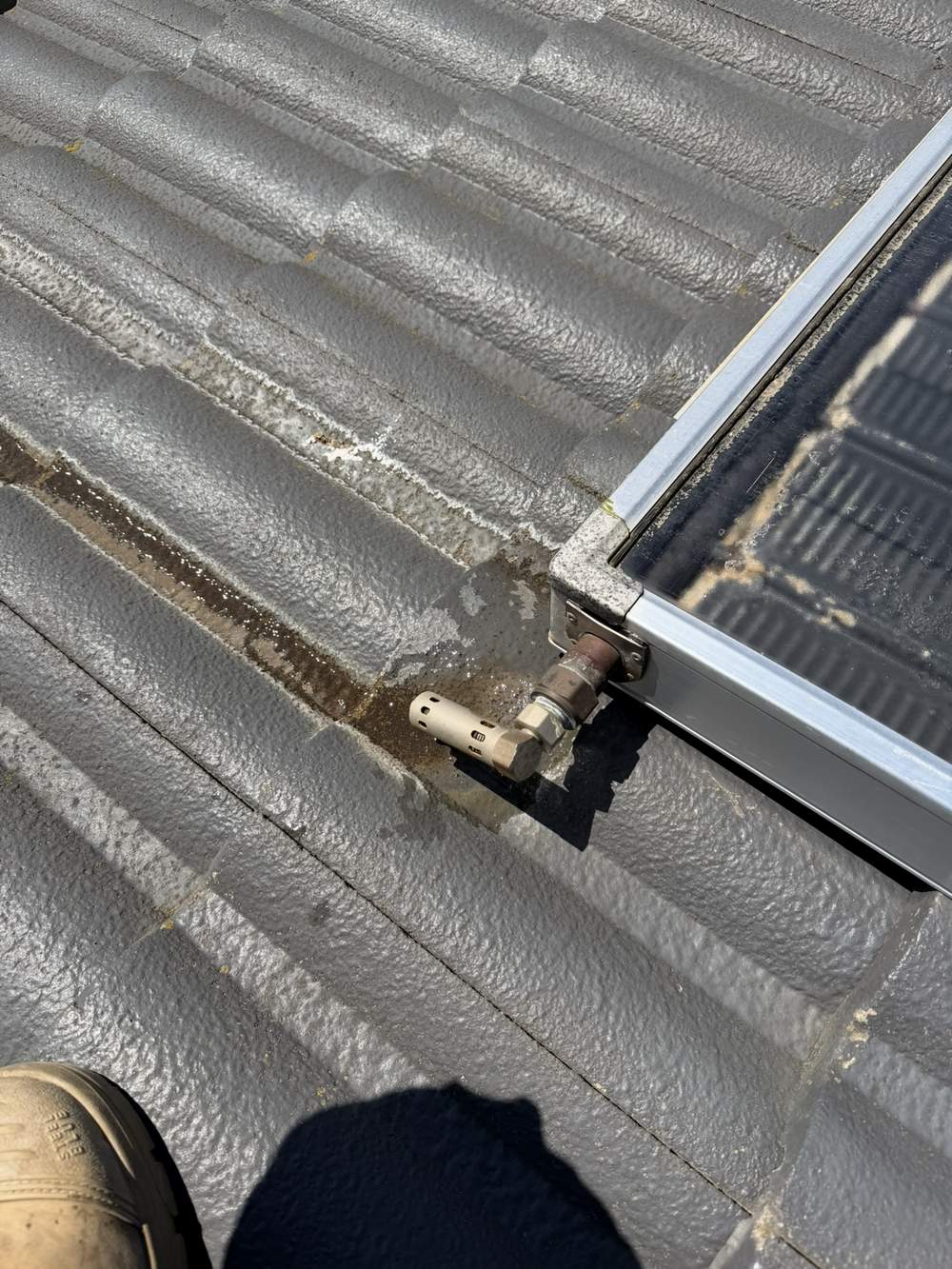 New frost valve installed on a solar hot water system in Narre Warren